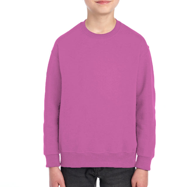 2989 Youth Fleece SweatShirt (Set - 1 )