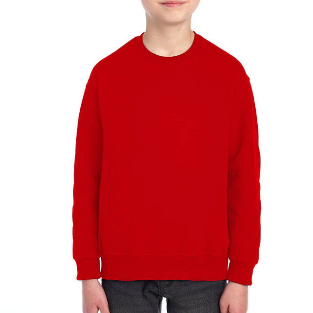 2989 Youth Fleece SweatShirt*