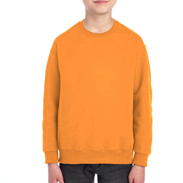2989 Youth Fleece SweatShirt*