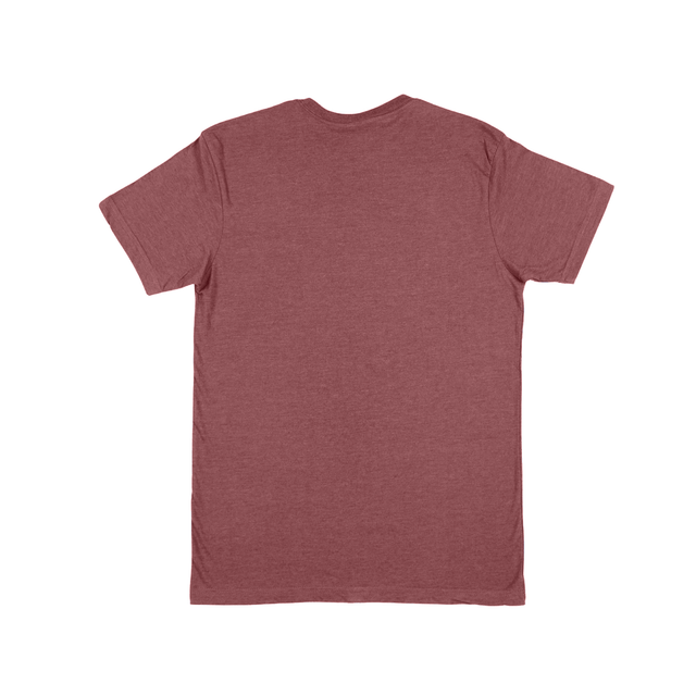 2581 Unisex Jersey Short Sleeve Tee 4.3 Oz (Set 3 Colors)