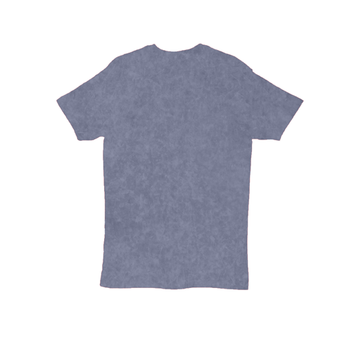 2582 Unisex Jersey Short Sleeve Tee 4.3 Oz - Denim Burnout Color