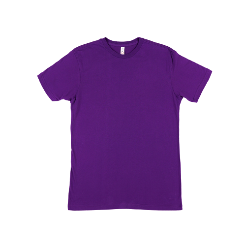 2900 - Unisex Youth Jersey Short Sleeve Tee 4.3 Oz - Purple
