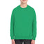 2989 Youth Fleece SweatShirt*