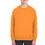 2989 Youth Fleece SweatShirt*