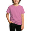 2900 Unisex Youth Jersey Short Sleeve Tee 4.3 Oz (Set 2)