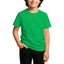 2900 Unisex Youth Jersey Short Sleeve Tee 4.3 Oz (Set 2)
