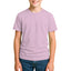 2900 Unisex Youth Jersey Short Sleeve Tee 4.3 Oz (Set 1)