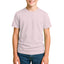 2900 Unisex Youth Jersey Short Sleeve Tee 4.3 Oz (Set 2)