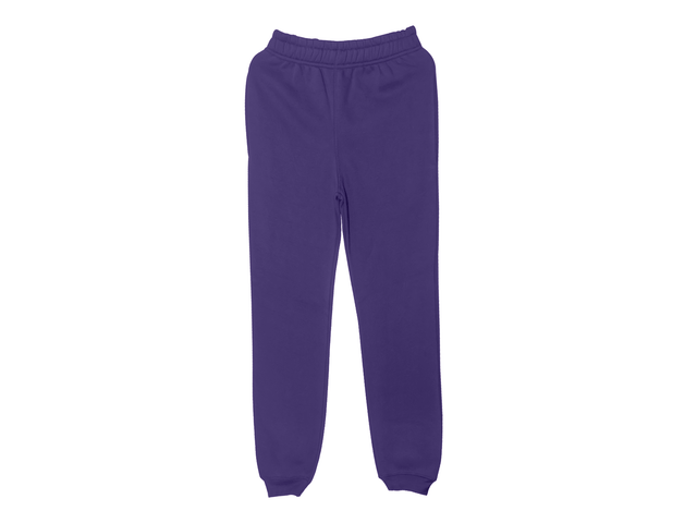 2689 Youth Fleece jogger pants purple