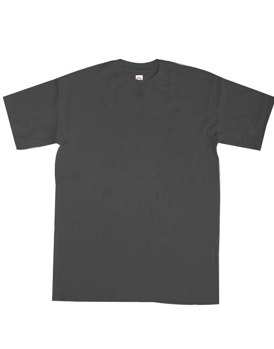 2000 Unisex Heavyweight Jersey Short Sleeve Tee 6.1 Oz*